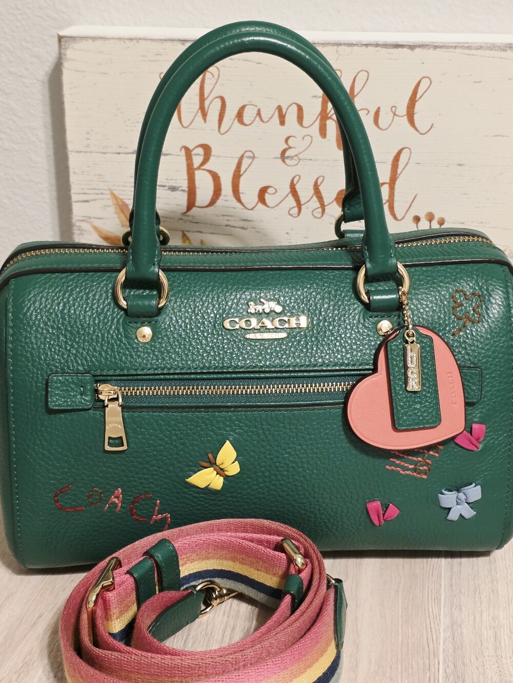 Coach RARE Rowan Lucky Green Diary Embroidery C8280 Crossbody Shoulder Bag Purse